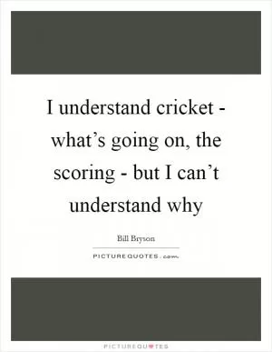 I understand cricket - what’s going on, the scoring - but I can’t understand why Picture Quote #1