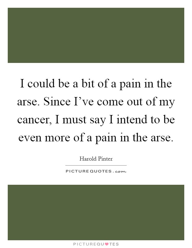 I could be a bit of a pain in the arse. Since I've come out of my cancer, I must say I intend to be even more of a pain in the arse. Picture Quote #1