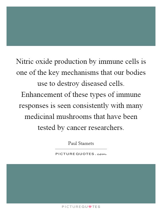 Nitric oxide production by immune cells is one of the key mechanisms that our bodies use to destroy diseased cells. Enhancement of these types of immune responses is seen consistently with many medicinal mushrooms that have been tested by cancer researchers. Picture Quote #1