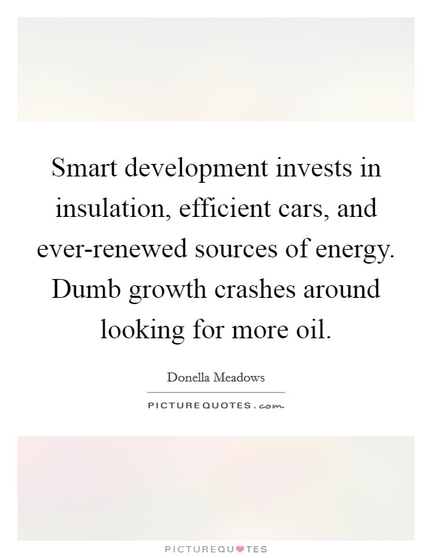 Smart development invests in insulation, efficient cars, and ever-renewed sources of energy. Dumb growth crashes around looking for more oil. Picture Quote #1