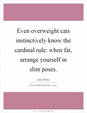 Even overweight cats instinctively know the cardinal rule: when fat, arrange yourself in slim poses Picture Quote #1