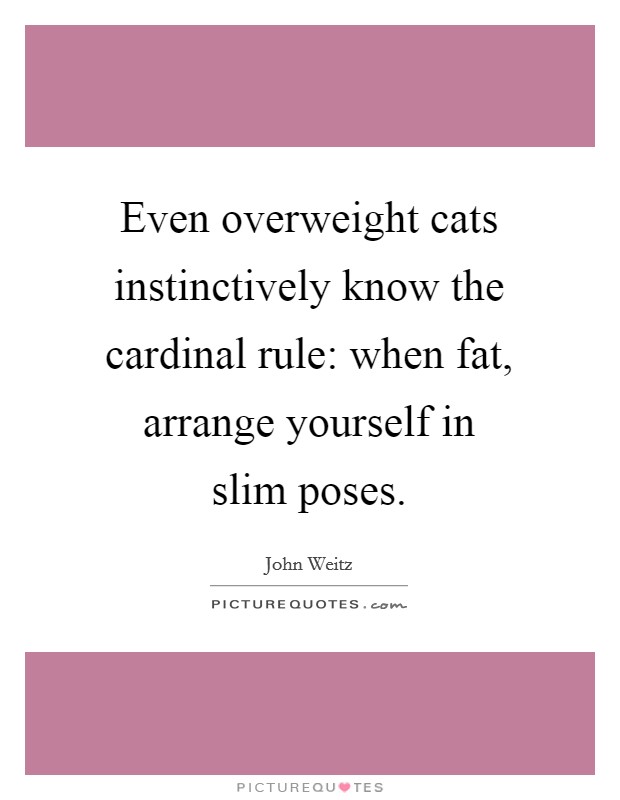 Even overweight cats instinctively know the cardinal rule: when fat, arrange yourself in slim poses. Picture Quote #1