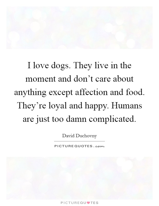 I love dogs. They live in the moment and don't care about anything except affection and food. They're loyal and happy. Humans are just too damn complicated. Picture Quote #1