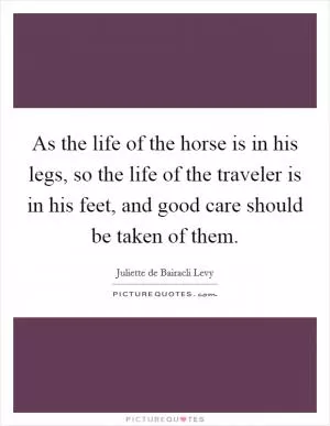 As the life of the horse is in his legs, so the life of the traveler is in his feet, and good care should be taken of them Picture Quote #1