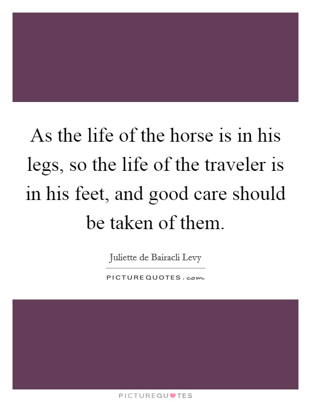 As the life of the horse is in his legs, so the life of the traveler is in his feet, and good care should be taken of them. Picture Quote #1