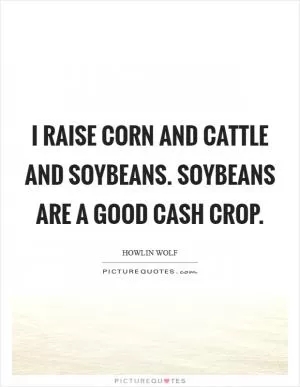 I raise corn and cattle and soybeans. Soybeans are a good cash crop Picture Quote #1