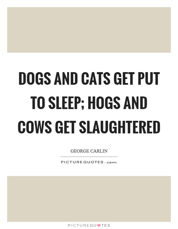 Dogs and cats get put to sleep; hogs and cows get slaughtered Picture Quote #1