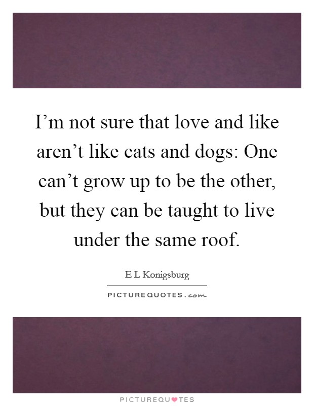 I'm not sure that love and like aren't like cats and dogs: One can't grow up to be the other, but they can be taught to live under the same roof. Picture Quote #1