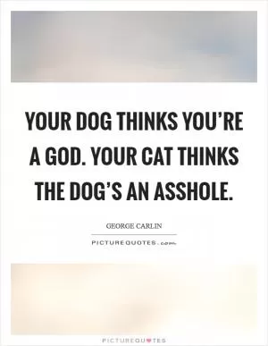 Your dog thinks you’re a God. Your cat thinks the dog’s an asshole Picture Quote #1