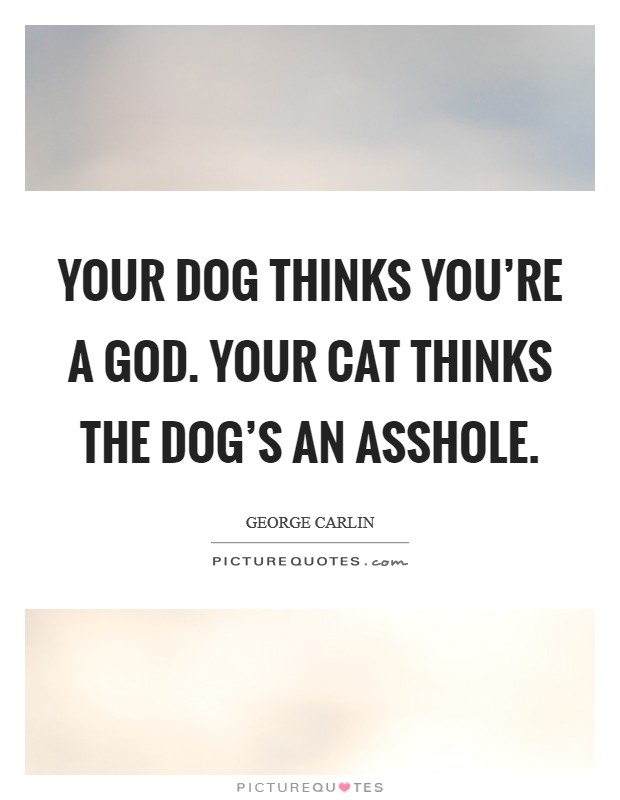 Your dog thinks you're a God. Your cat thinks the dog's an asshole. Picture Quote #1