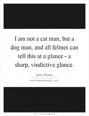 I am not a cat man, but a dog man, and all felines can tell this at a glance - a sharp, vindictive glance Picture Quote #1