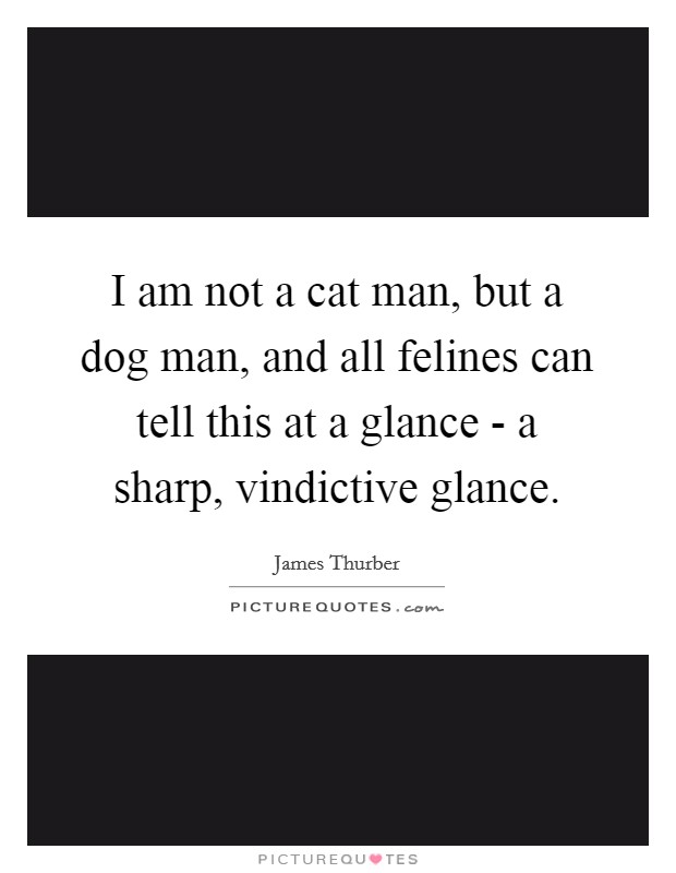 I am not a cat man, but a dog man, and all felines can tell this at a glance - a sharp, vindictive glance. Picture Quote #1