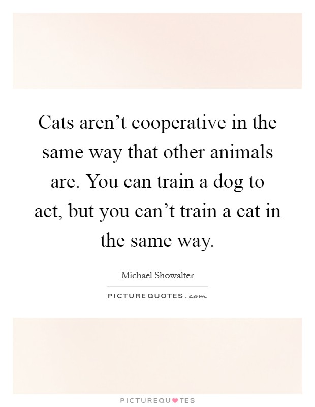 Cats aren't cooperative in the same way that other animals are. You can train a dog to act, but you can't train a cat in the same way. Picture Quote #1