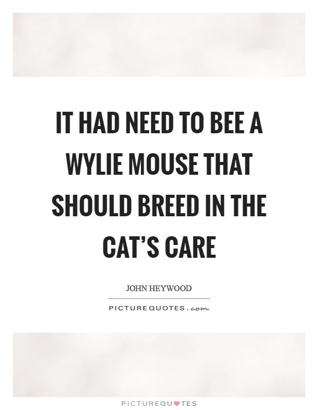It had need to bee A wylie mouse that should breed in the cat's care Picture Quote #1