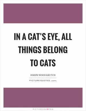 In a cat’s eye, all things belong to cats Picture Quote #1