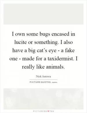 I own some bugs encased in lucite or something. I also have a big cat’s eye - a fake one - made for a taxidermist. I really like animals Picture Quote #1