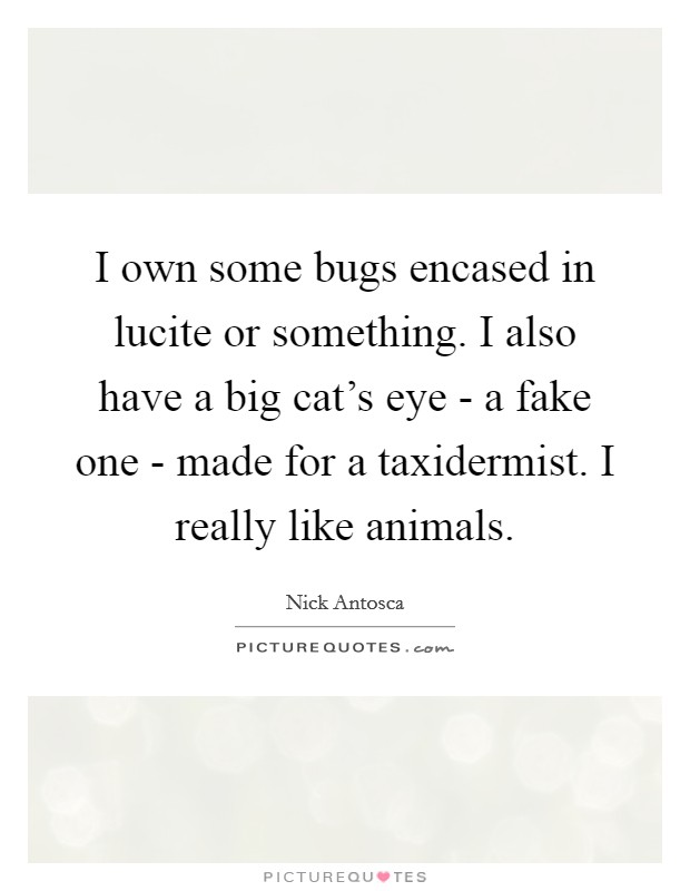 I own some bugs encased in lucite or something. I also have a big cat's eye - a fake one - made for a taxidermist. I really like animals. Picture Quote #1