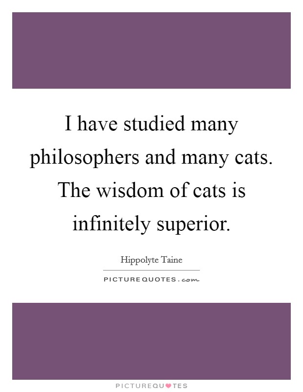 I have studied many philosophers and many cats. The wisdom of cats is infinitely superior. Picture Quote #1