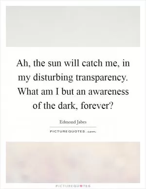 Ah, the sun will catch me, in my disturbing transparency. What am I but an awareness of the dark, forever? Picture Quote #1