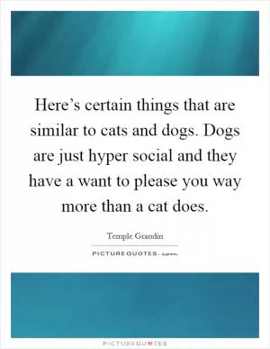 Here’s certain things that are similar to cats and dogs. Dogs are just hyper social and they have a want to please you way more than a cat does Picture Quote #1