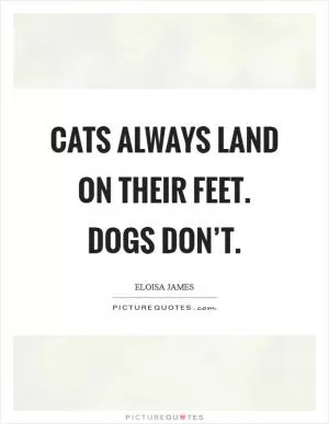 Cats always land on their feet. Dogs don’t Picture Quote #1