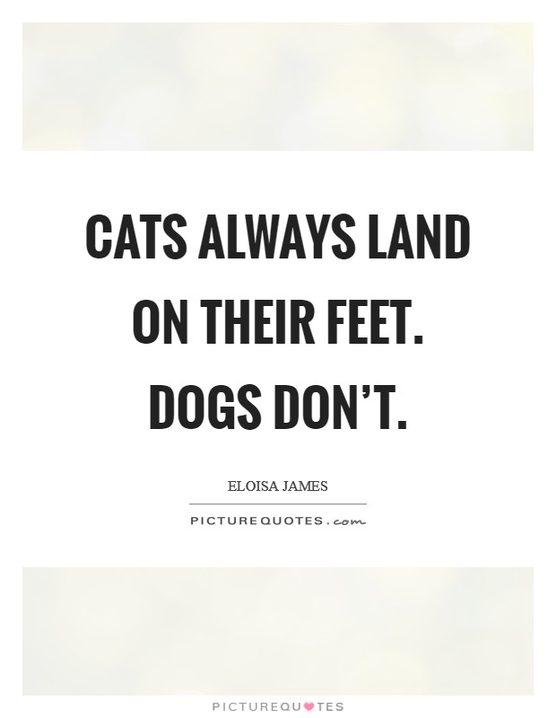 Cats always land on their feet. Dogs don't. Picture Quote #1