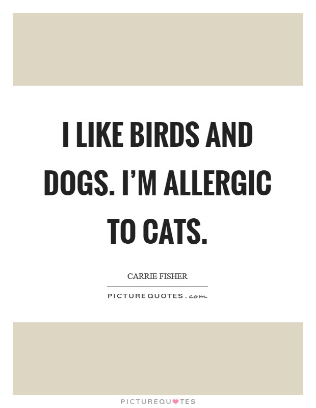 I like birds and dogs. I'm allergic to cats. Picture Quote #1