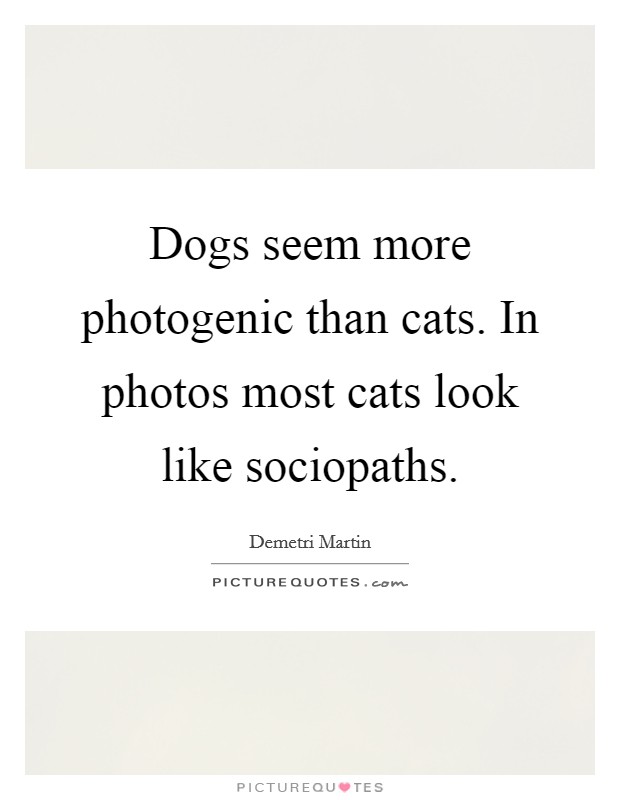 Dogs seem more photogenic than cats. In photos most cats look like sociopaths. Picture Quote #1