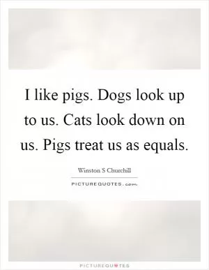 I like pigs. Dogs look up to us. Cats look down on us. Pigs treat us as equals Picture Quote #1