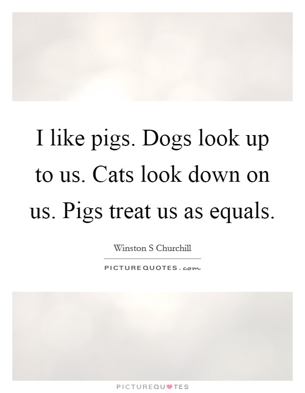 I like pigs. Dogs look up to us. Cats look down on us. Pigs treat us as equals. Picture Quote #1