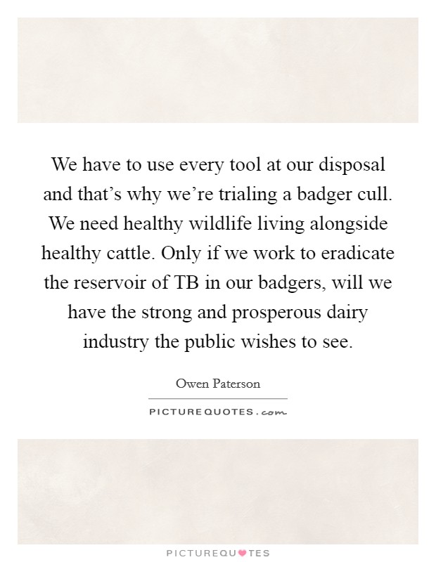 We have to use every tool at our disposal and that's why we're trialing a badger cull. We need healthy wildlife living alongside healthy cattle. Only if we work to eradicate the reservoir of TB in our badgers, will we have the strong and prosperous dairy industry the public wishes to see. Picture Quote #1