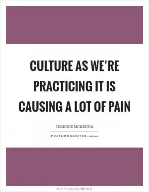 Culture as we’re practicing it is causing a lot of pain Picture Quote #1
