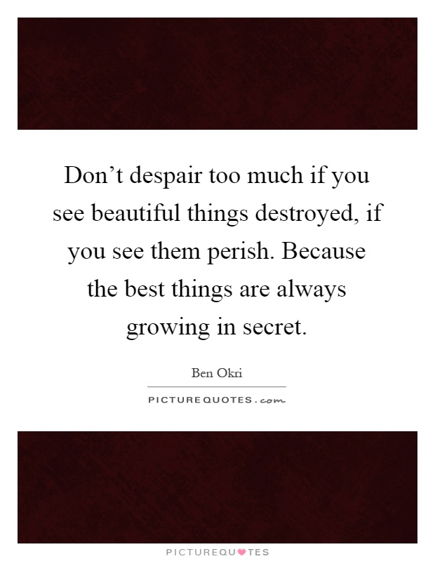 Don't despair too much if you see beautiful things destroyed, if you see them perish. Because the best things are always growing in secret Picture Quote #1