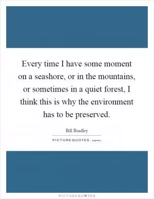 Every time I have some moment on a seashore, or in the mountains, or sometimes in a quiet forest, I think this is why the environment has to be preserved Picture Quote #1