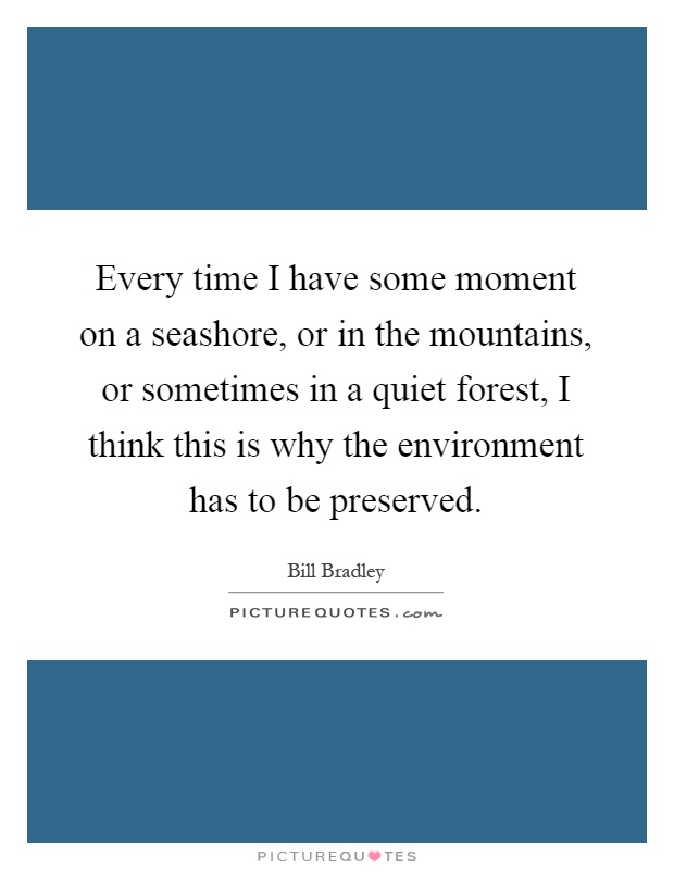 Every time I have some moment on a seashore, or in the mountains, or sometimes in a quiet forest, I think this is why the environment has to be preserved Picture Quote #1