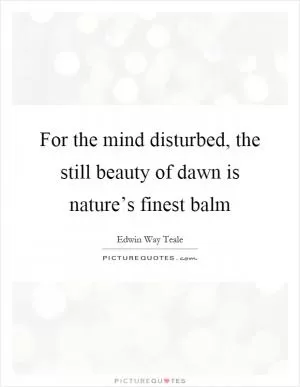 For the mind disturbed, the still beauty of dawn is nature’s finest balm Picture Quote #1
