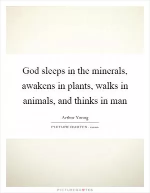 God sleeps in the minerals, awakens in plants, walks in animals, and thinks in man Picture Quote #1