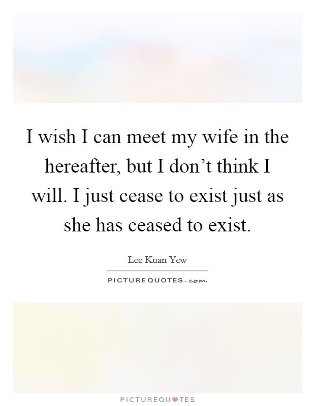 I wish I can meet my wife in the hereafter, but I don't think I will. I just cease to exist just as she has ceased to exist. Picture Quote #1