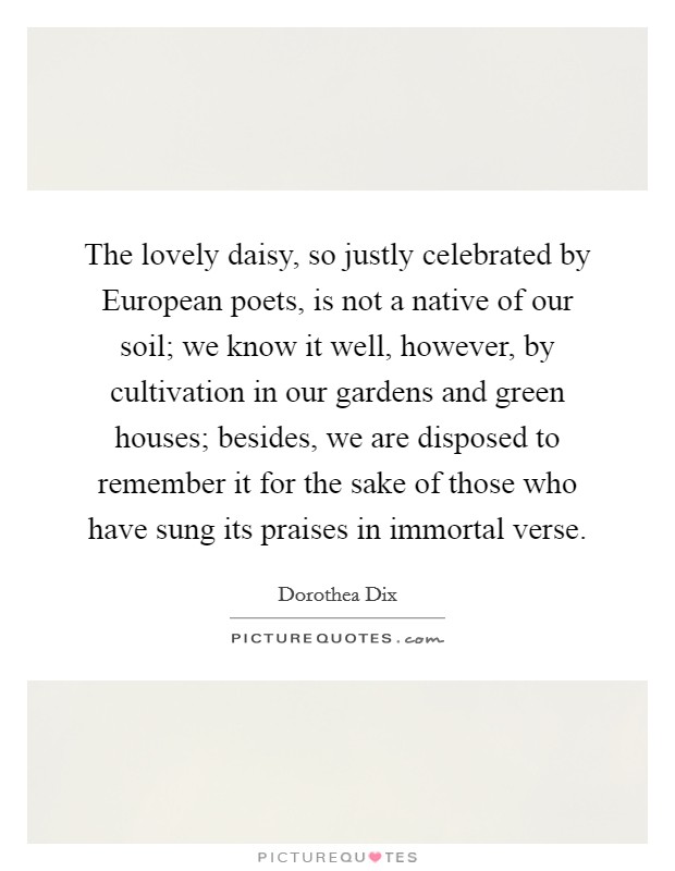 The lovely daisy, so justly celebrated by European poets, is not a native of our soil; we know it well, however, by cultivation in our gardens and green houses; besides, we are disposed to remember it for the sake of those who have sung its praises in immortal verse. Picture Quote #1
