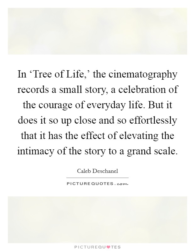 In ‘Tree of Life,' the cinematography records a small story, a celebration of the courage of everyday life. But it does it so up close and so effortlessly that it has the effect of elevating the intimacy of the story to a grand scale. Picture Quote #1