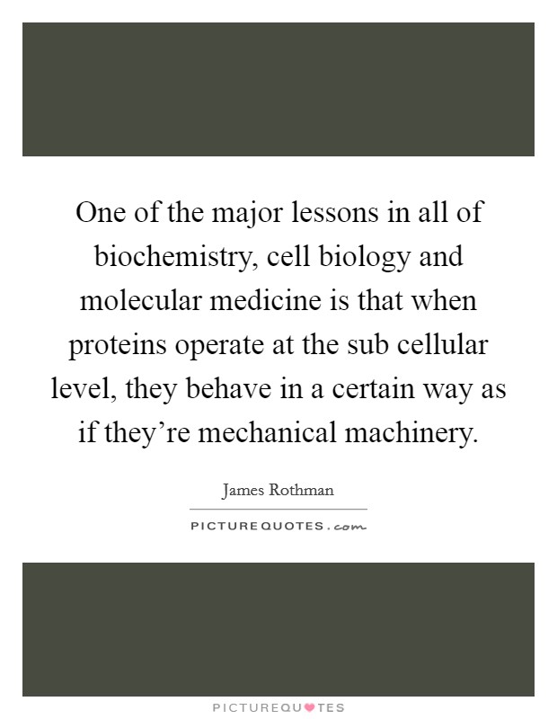 One of the major lessons in all of biochemistry, cell biology and molecular medicine is that when proteins operate at the sub cellular level, they behave in a certain way as if they're mechanical machinery. Picture Quote #1