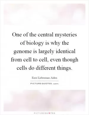 One of the central mysteries of biology is why the genome is largely identical from cell to cell, even though cells do different things Picture Quote #1