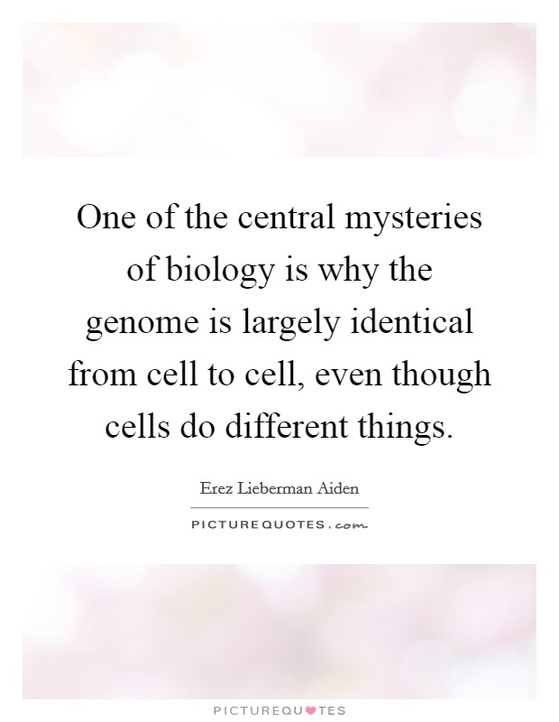 One of the central mysteries of biology is why the genome is largely identical from cell to cell, even though cells do different things. Picture Quote #1