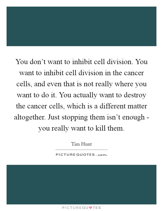 You don't want to inhibit cell division. You want to inhibit cell division in the cancer cells, and even that is not really where you want to do it. You actually want to destroy the cancer cells, which is a different matter altogether. Just stopping them isn't enough - you really want to kill them. Picture Quote #1