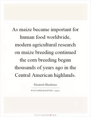 As maize became important for human food worldwide, modern agricultural research on maize breeding continued the corn breeding begun thousands of years ago in the Central American highlands Picture Quote #1