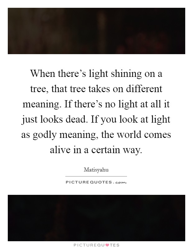 When there's light shining on a tree, that tree takes on different meaning. If there's no light at all it just looks dead. If you look at light as godly meaning, the world comes alive in a certain way. Picture Quote #1