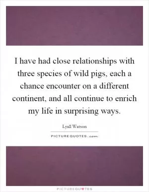 I have had close relationships with three species of wild pigs, each a chance encounter on a different continent, and all continue to enrich my life in surprising ways Picture Quote #1