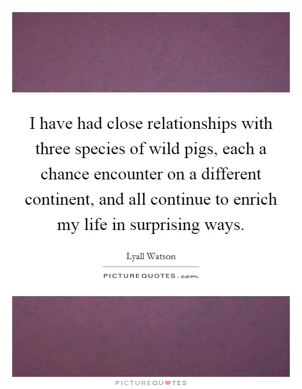 I have had close relationships with three species of wild pigs, each a chance encounter on a different continent, and all continue to enrich my life in surprising ways. Picture Quote #1