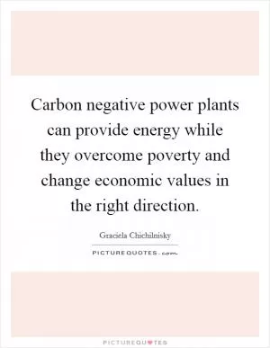 Carbon negative power plants can provide energy while they overcome poverty and change economic values in the right direction Picture Quote #1