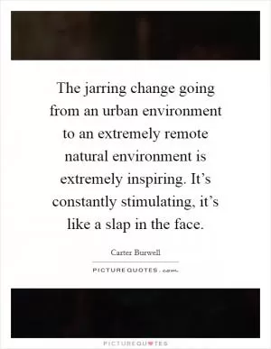 The jarring change going from an urban environment to an extremely remote natural environment is extremely inspiring. It’s constantly stimulating, it’s like a slap in the face Picture Quote #1